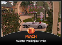 PEACH - roadster wedding car white MP