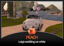 Peach Luigi wedding car- white MP