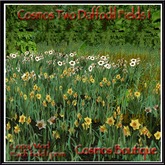 Cosmos Two Daffodil Fields 1 BOX