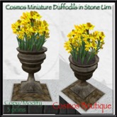 Cosmos Miniature Daffodils in Stone Urn  (BOX)