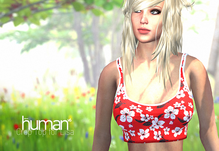 Acacia : HV6 - Crop Top for Lisa