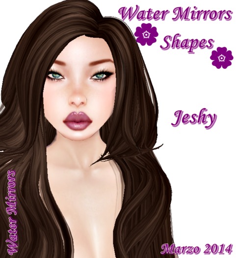 SHAPE JESHY