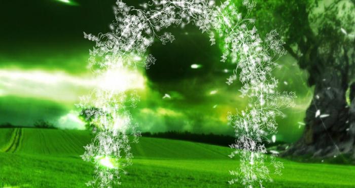 arche butterfly light