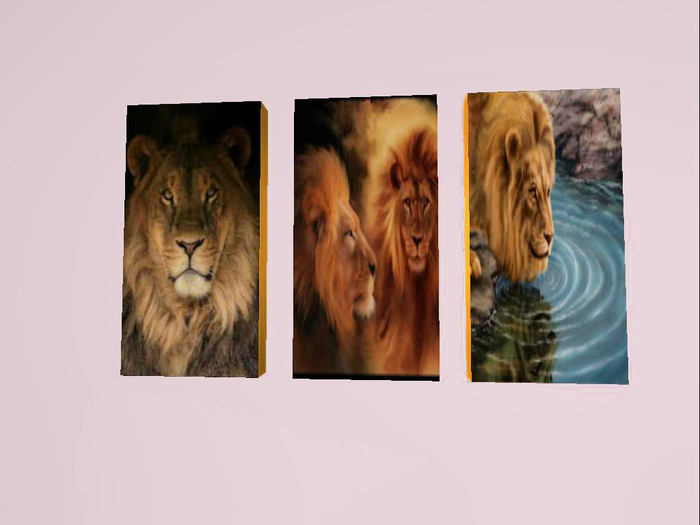 quadro leao triplo