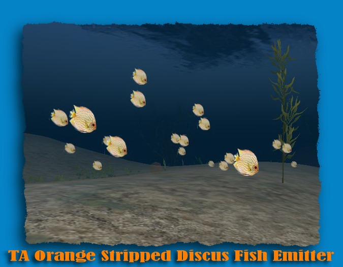 TA Orange Stripped Discus Fish Emitter 2011