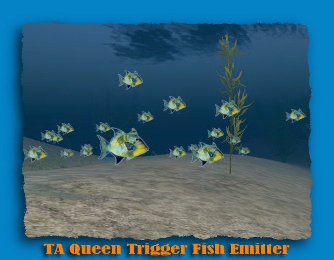 TA Queen Trigger Fish Emitter