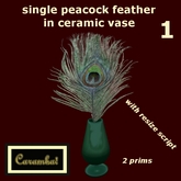 single peacock feather in ceramic vase (1) (res.script)