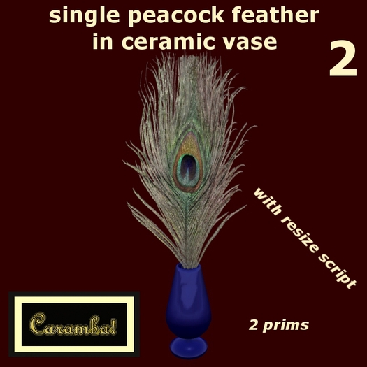 single peacock feather in ceramic vase (2) (res.script)