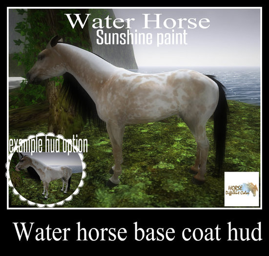 WH_Painted Dapple (BOXED)