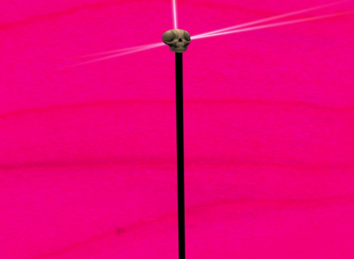 SKULL  CANE / WITH  BLING