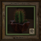 Cactus in Star Planter B