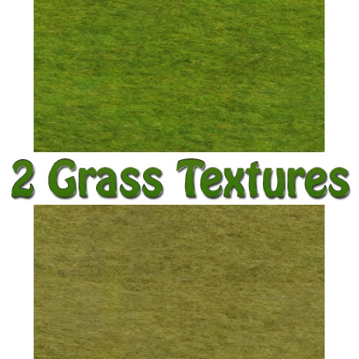 :::BARDOT WEDGE BOW CHIC Grass