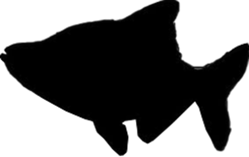 Silhouette of a Fish - copy modify / resize