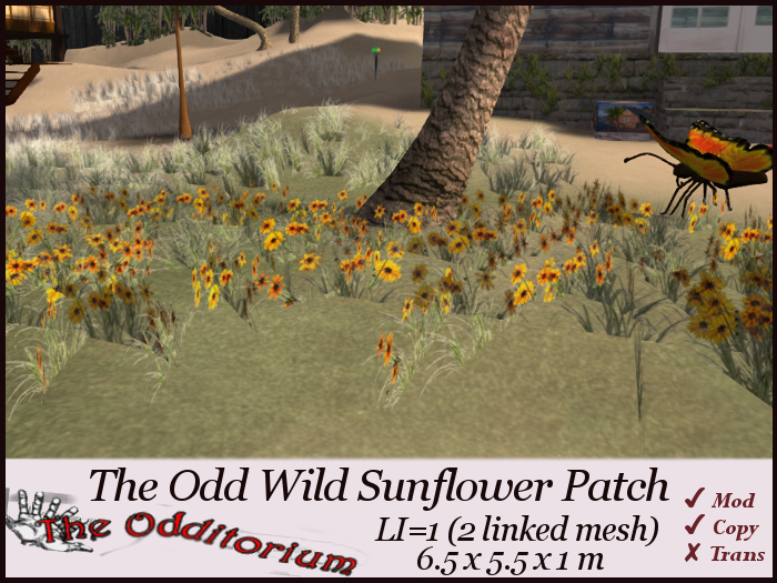 oDD wILD sUNFLOWER pATCH (mESH)