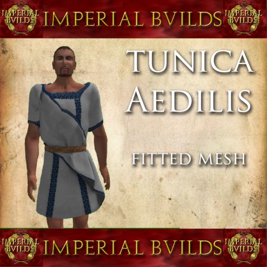 Tunica Aedilis Plinius