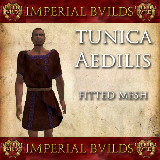 Tunica Aedilis Marcus DEMO