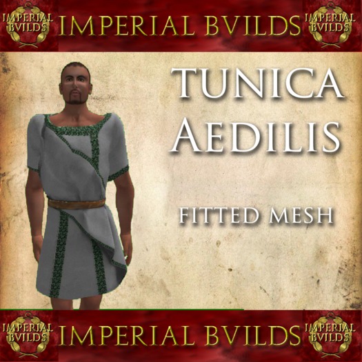 Tunica Aedilis Priscus