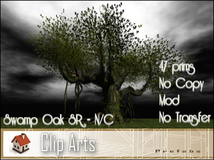 Swamp Oak SR - N/C