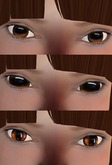 Little Fawn Eyes