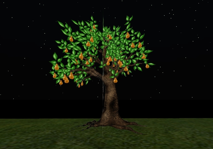Mw pear tree