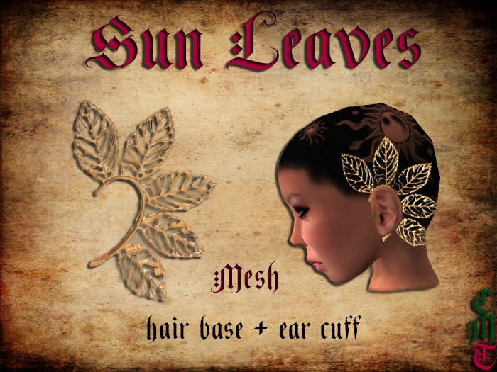sun leaves