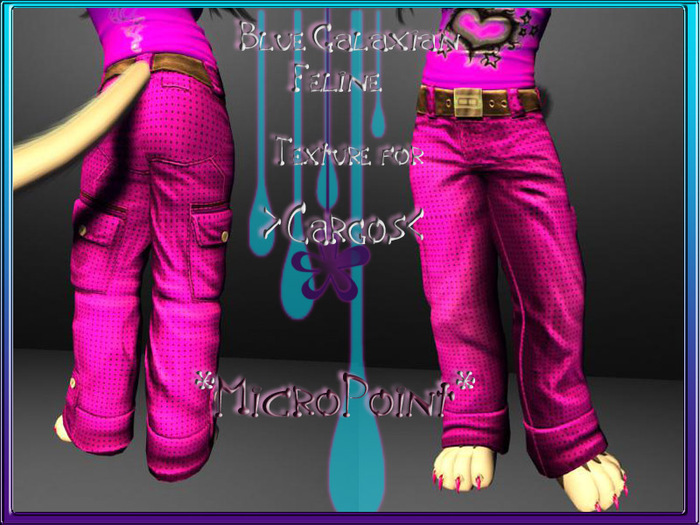 MicroPointCargos