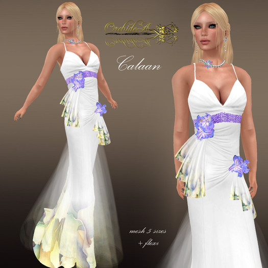 ** Orchidea** CALAAN WHITE