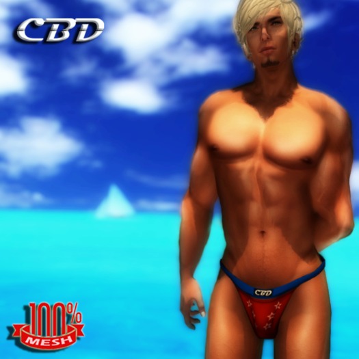 Red White & Blue Mesh Thong Swimwear