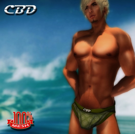 CBD - Light Blue Mesh Swimwear