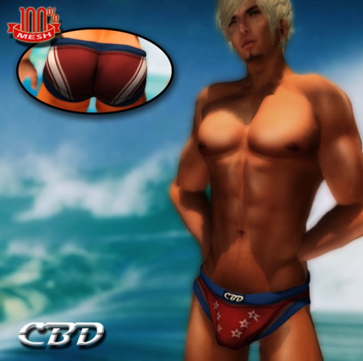 CBD - Light Blue Mesh Swimwear