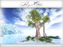 .:: Shayin ::. Ficus Banyan Tree M/C