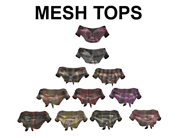 MESH TOP + HUD 2 EWOS