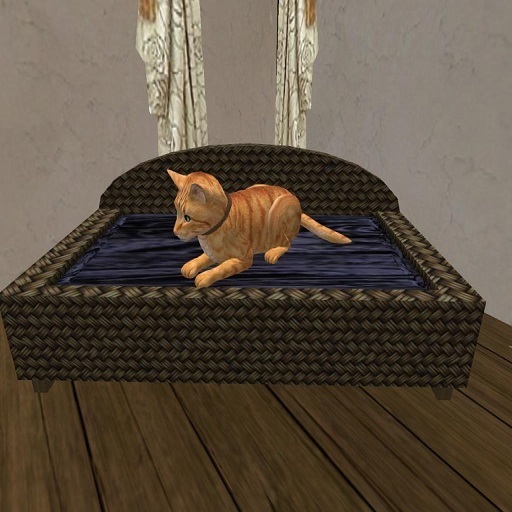 Dark basket type 2 (box)