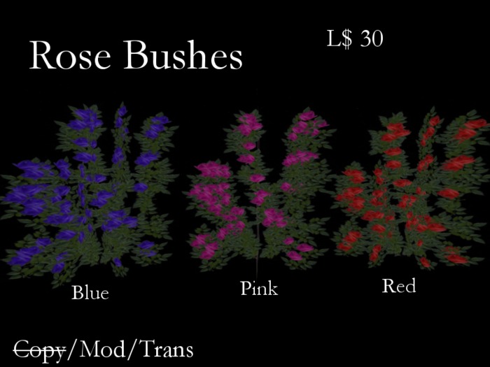 Rosebush-Full Pack (nc)