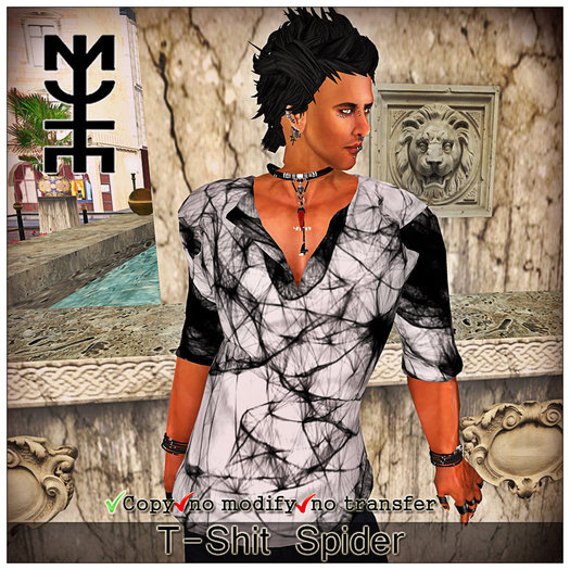 T-shirt Spider