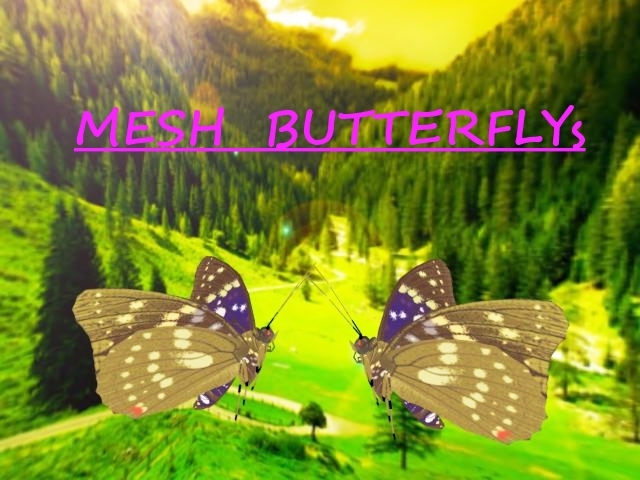 BUTERFLY 1