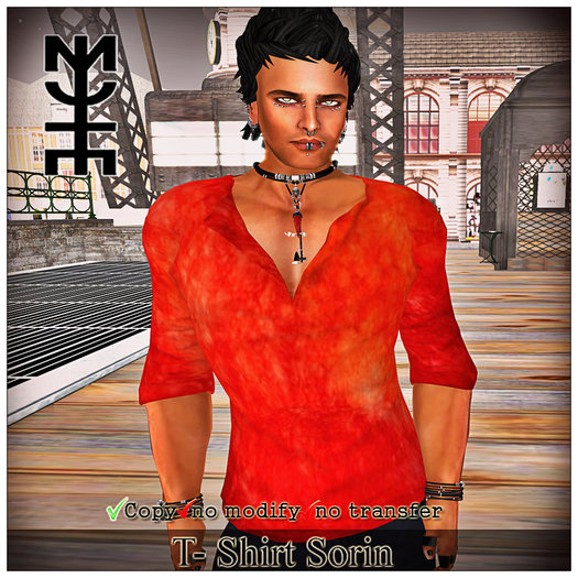 T- Shirt Sorin