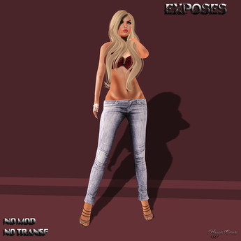 Second Life Marketplace - EXPOSES - FEMALE MODEL POSE 04 NT