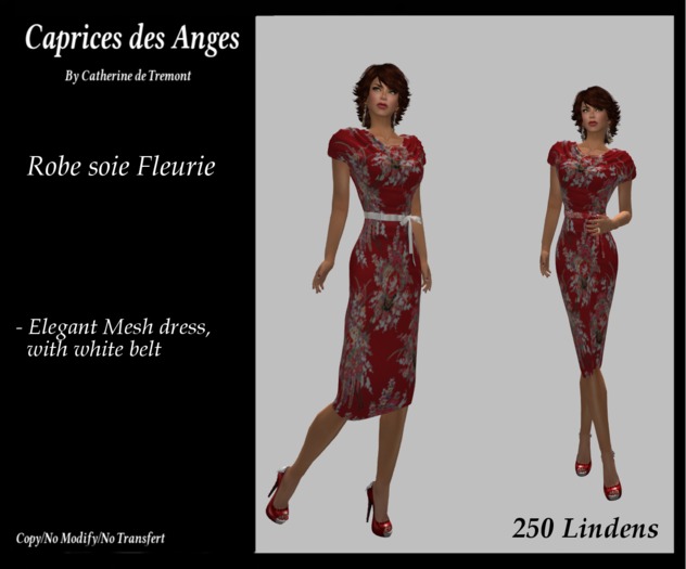 *CdT* "Robe Soie  fleurie