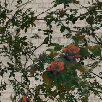 Second Life Marketplace - Goth rose thorn yellow