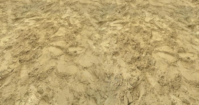Texture sand_54