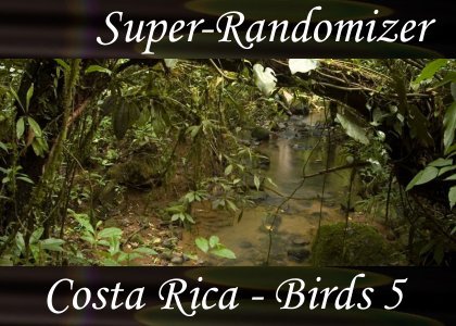 Super-Randomizer Orb / Costa Rica - Bird Set #5 (40 Sounds)