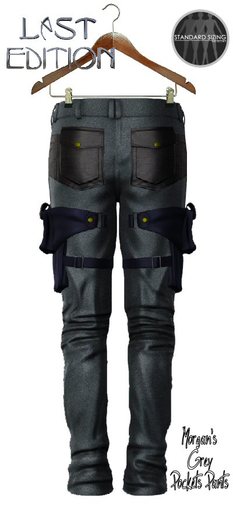 Morgan's Grey Pockets Pants