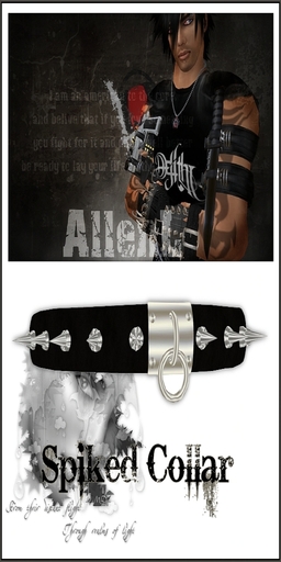 Spiked collar 