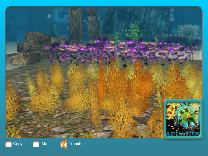 Seaweed Patch in Golden Colours