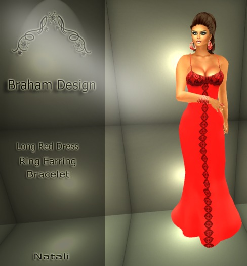 Braham Design Long Red Dress Mesh