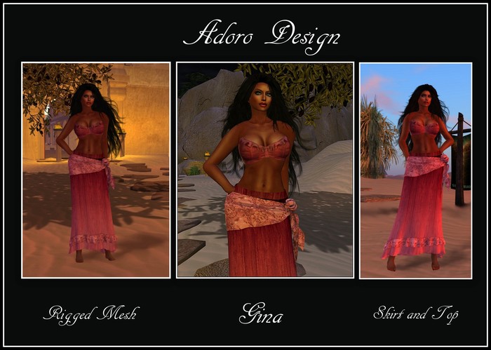 Gina  Skirt and Top