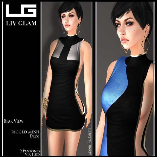 [LIV-Glam]WINTER2012 Posen Scrapbook Dress HUD[WearMe]