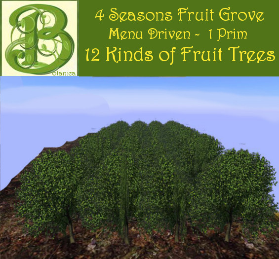 4 Season 12 Types of Fruit Grove - 1 prm