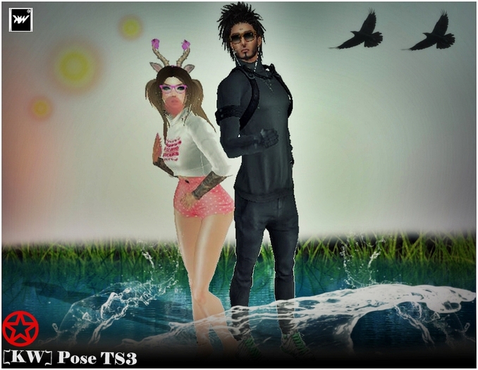 [KW] Pose TS3